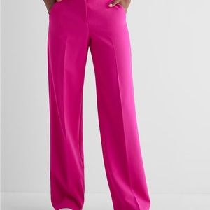 Express Neon Berry Pants